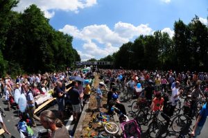 Still-Leben A40