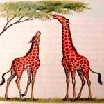 lamarck_giraffes