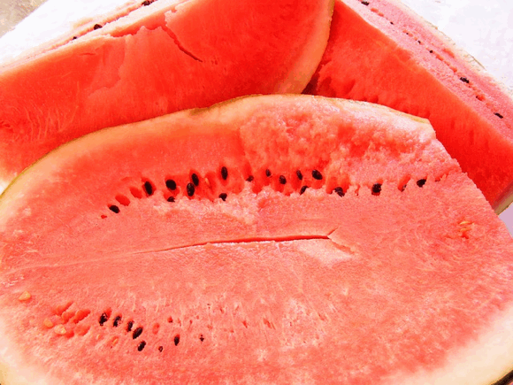 Melone Foto: byrev Lizenz: Public Domain