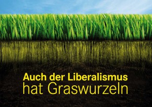 Wie ernst kann man eine liberale Graswurzelbewegung wirklich nehmen? (Bild: fdp-liberte.de)