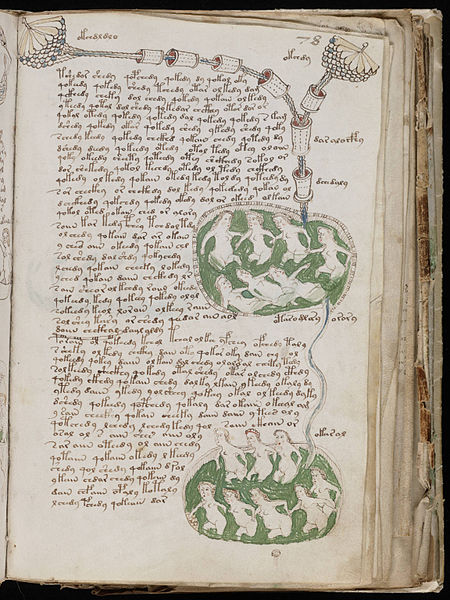 Eine der Seiten aus dem Voynich Manuskript mit badenden Frauen. (Quelle: http://commons.wikimedia.org/wiki/File:Voynich_Manuscript_%28141%29.jpg#mediaviewer/Datei:Voynich_Manuscript_%28141%29.jpg)