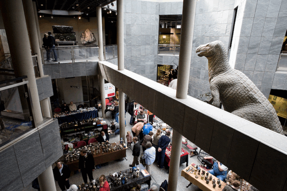 Museum für Naturkunde Dortmund Foto: Ceving Lizenz: GNU