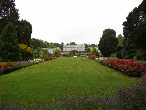 Im Rombergpark in Dortmund. Foto: Robin Patzwaldt