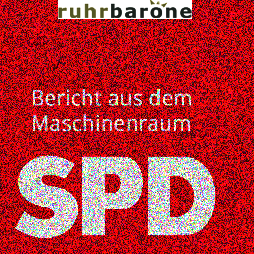 In welche Richtung geht es mit der SPD? Und was denken eigentlich die Mitglieder darüber?