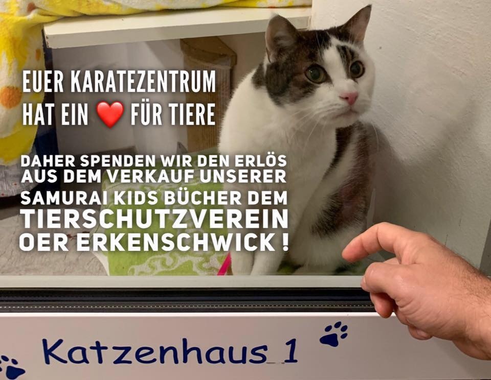 Auf Facebook und Instagram machte die Karateschule auf die Charity-Aktion aufmerksam.