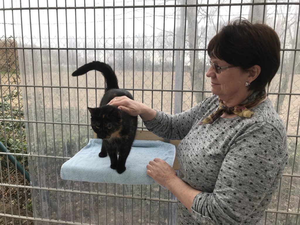 Ruth Kiel (Tierschutzverein Oer-Erkenschwick-Erkenschwick e.V.) und Katze Keks; Foto: Peter Ansmann