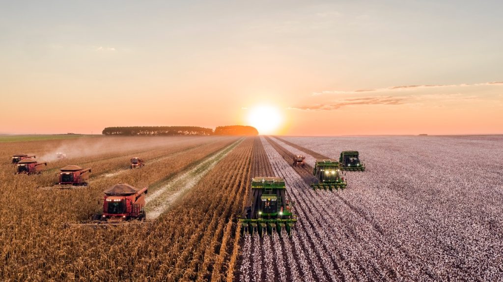 Mähdrescher bei der Ernte. Was hat Greenpeace gegen normale Landwirte?