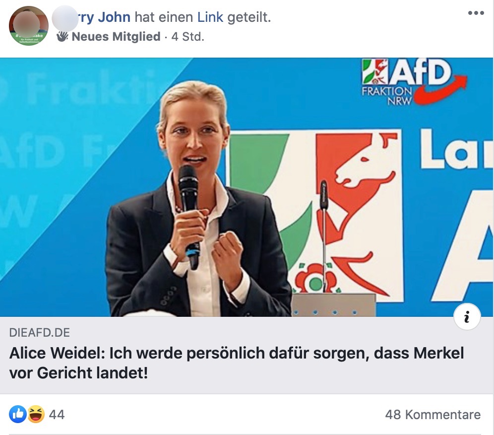 Affinität zur AfD in der Gruppe "Widerstand 2020 Das Original (Die Politik & Sarkasmus Gruppe)"; Screenshot Facebook