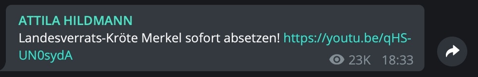 "Landesverrats-Kröte Merkel sofort absetzen!" Screenshot Telegram