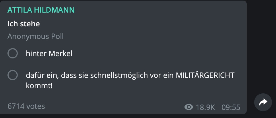 Angela Merkel würde zwar als Zivilistin nicht unter diese Gerichtsbarkeit fallen, aber egal: Attila Hildmann schreibt hier schließlich: Screenshot Telegram