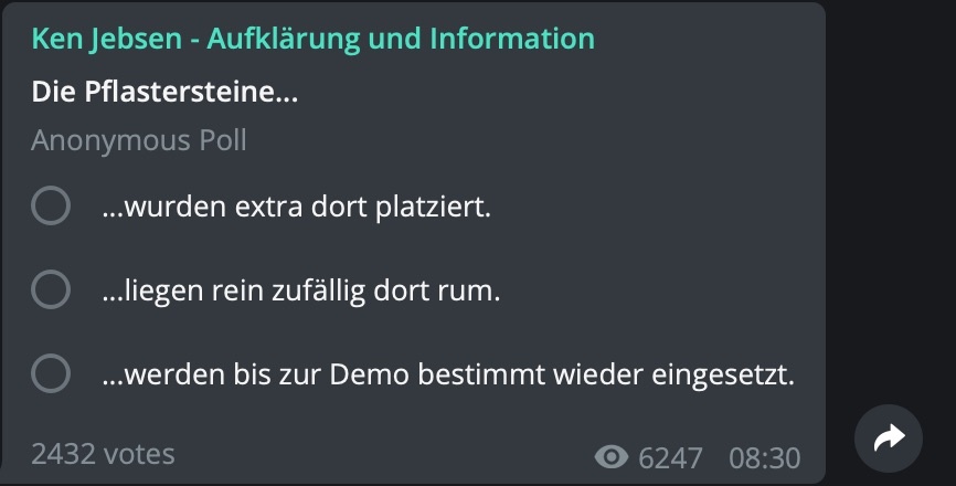 Abstimmung zum Thema "Pflastersteine"; Screenshot Telegram