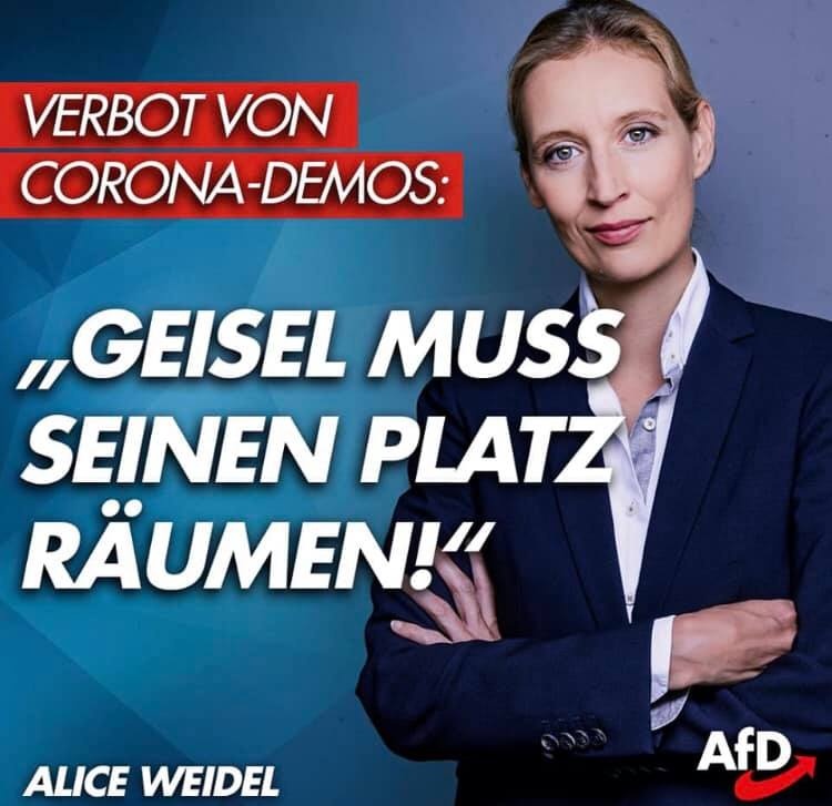 Die AfD als Hüterin der Grundrechte: Es ist verlogen; Screenshot