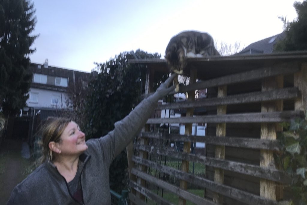 Menschenbezogen: Einer der Kater; Foto: Peter Ansmann