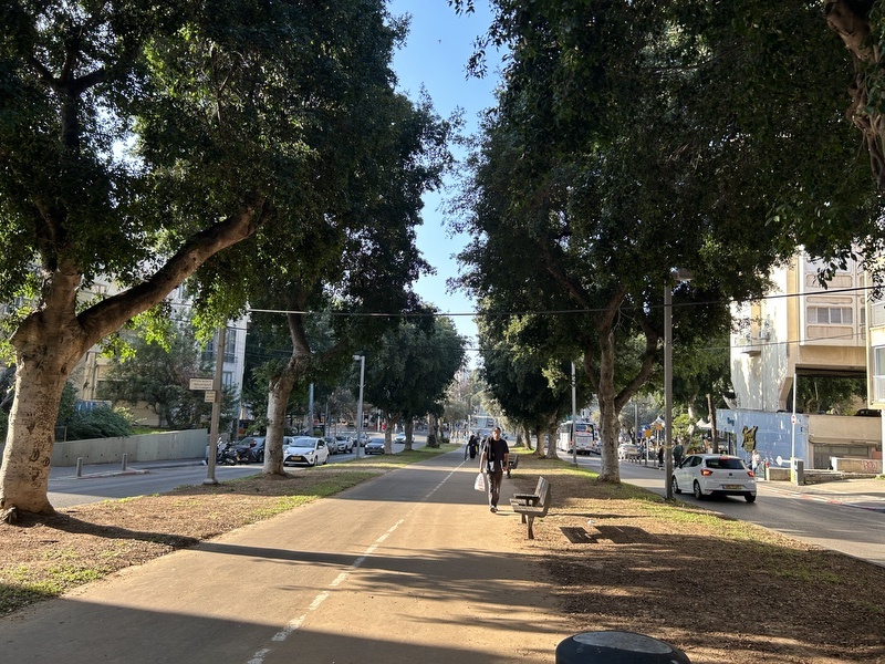 Der Rothschild-Boulevard in Tel Aviv (Foto: Peter Ansmann)