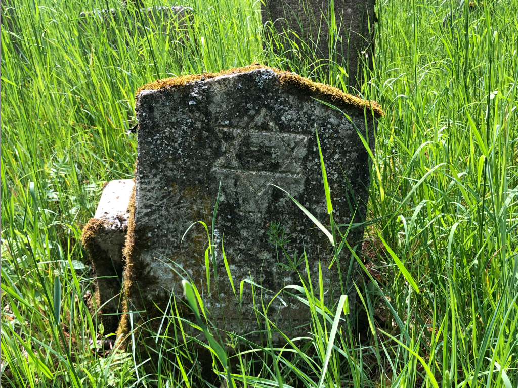 Ein Grabstein auf einem vergessenen jüdischen Friedhof. Foto: Andreas Wolf