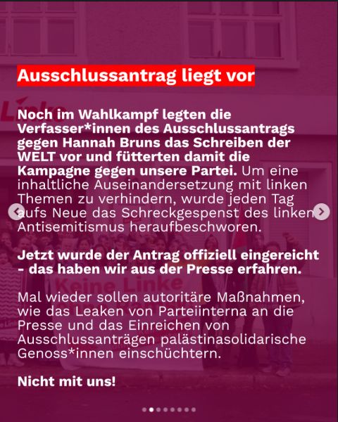 Zweite Folie der Palästina-LAG mit Vorwürfen gegen die Antragsteller und die Presse.