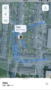 Cleopatras Radius: Die Wege der Königin (2)