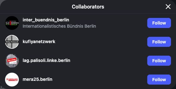 Instagram nennt Inter-Bündnis Berlin, Kufiya Netzwerk, LAG Palästinasolidarität Berlin und MERA25 Berlin als Mitveröffentlicher.