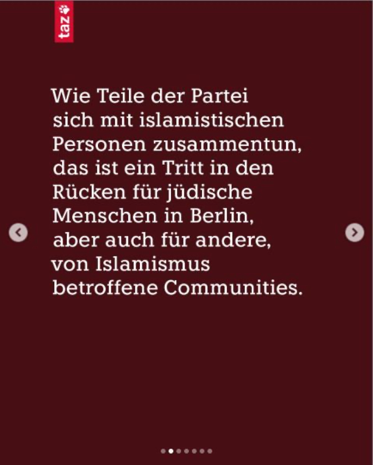 taz-Instagram-Grafik mit Rosa Jellineks Kritik an Kontakten von Teilen der Linken zu islamistischen Personen