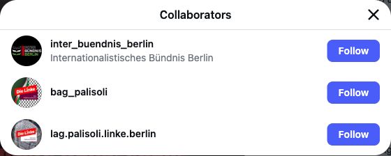 Instagram nennt das Internationalistische Bündnis Berlin, die BAG Palästinasolidarität und die LAG Palästinasolidarität Berlin als gemeinsame Autoren.