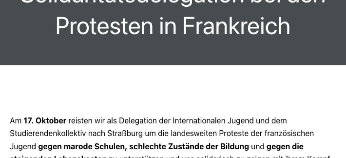 Ausschnitt des Reiseberichts: Pflastersteine zur Bewaffnung gegen die Polizei und anschließend Begeisterung über den Mut der Jugend