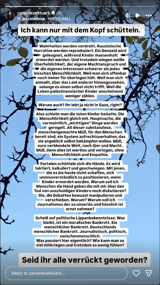 Cansın Köktürks Instagram-Story mit pauschaler Kritik an Politik und Journalismus