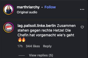 Die Berliner Palästina-LAG lobt Ines Schwerdtner unter Martha Kleedörfers Instagram-Video.