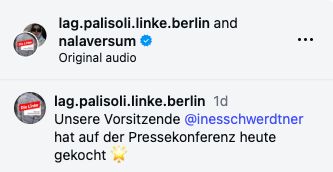 Die Berliner Palästina-LAG lobt Ines Schwerdtner auf Instagram: Unsere Vorsitzende hat auf der Pressekonferenz heute gekocht.